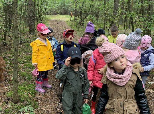 Rajd Leśne Ludki
