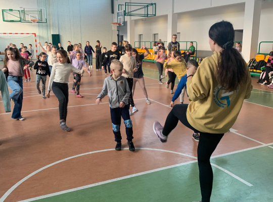 Instytut Zdrowia i Bezpieczeństwa