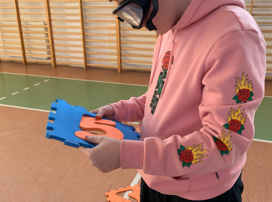 Instytut Zdrowia i Bezpieczeństwa