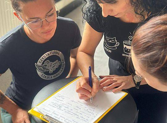 Warsztaty Pranie Mózgu